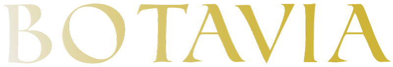 Botavia Energy text logo